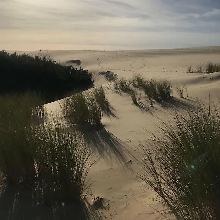 Maison A Deux Pas De L'ocean Biscarrosse-Plage