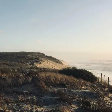 Maison A Deux Pas De L'ocean 度假居 比斯卡罗斯海滩