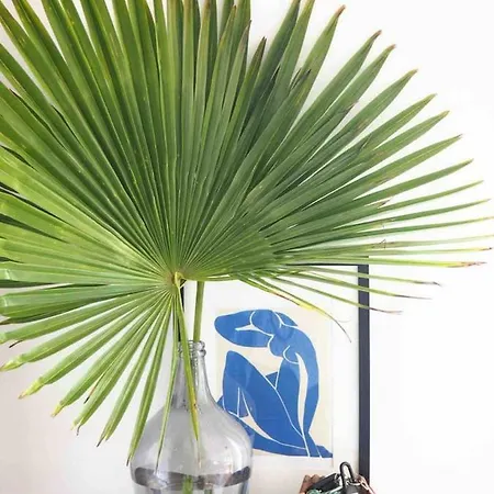 Maison A Deux Pas De L'ocean 度假居