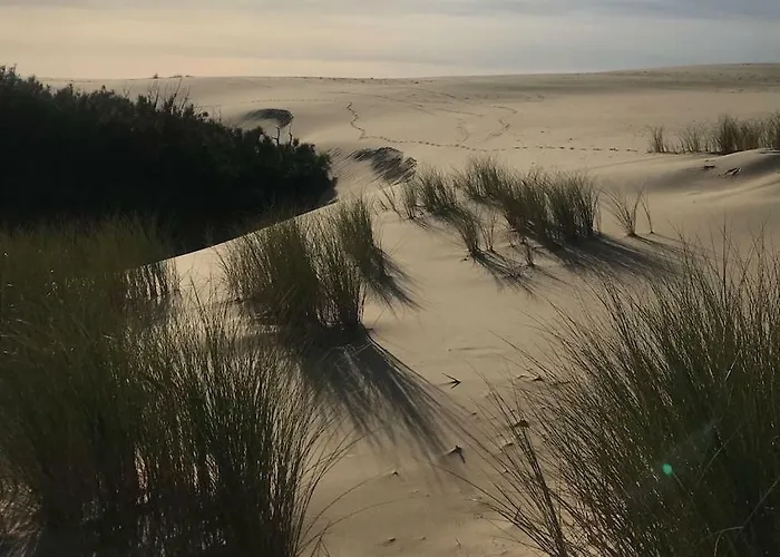 Maison A Deux Pas De L'ocean Biscarrosse-Plage