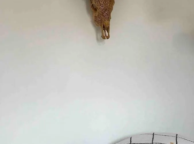 Maison A Deux Pas De L'ocean Feriehus *