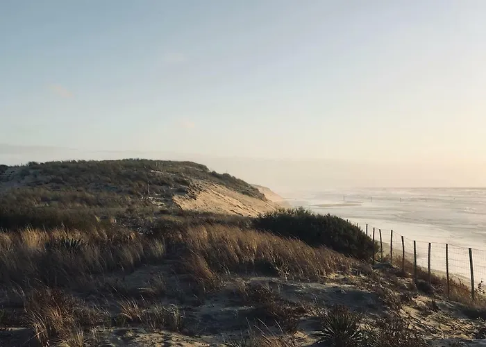 Maison A Deux Pas De L'ocean Feriehus Biscarrosse-Plage