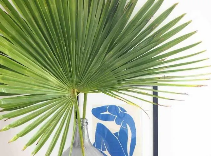 Maison A Deux Pas De L'ocean Feriehus